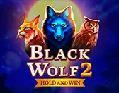 Black Wolf 2