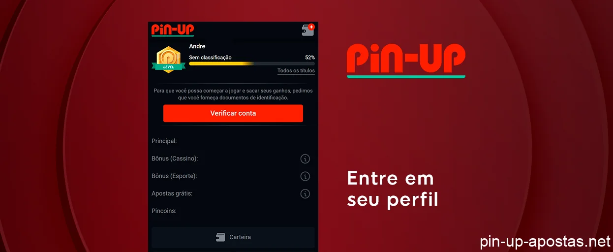 Entre em seu perfil - Pin Up