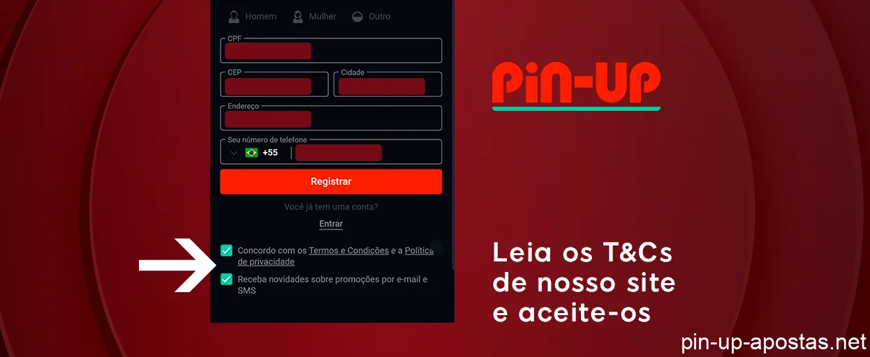 Concordar com os termos e condições e finalizar o registro - Pin Up