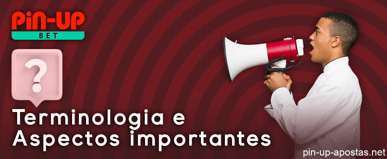 Sobre a terminologia no site da PinUp Brasil