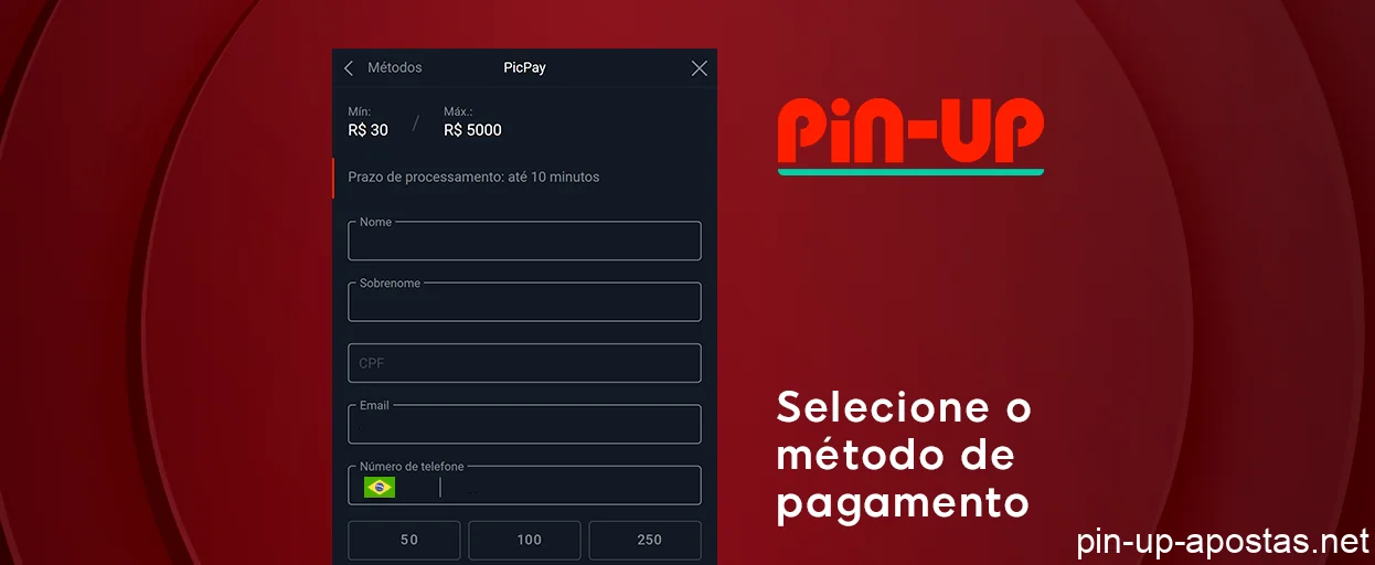 Preencha todos os dados obrigatórios - Depósitos no Pin Up Brasil